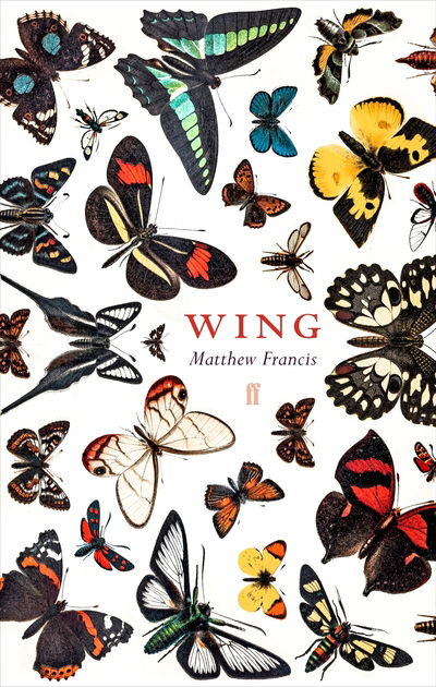 Wing - Matthew Francis - Książki - Faber & Faber - 9780571358618 - 6 lutego 2020