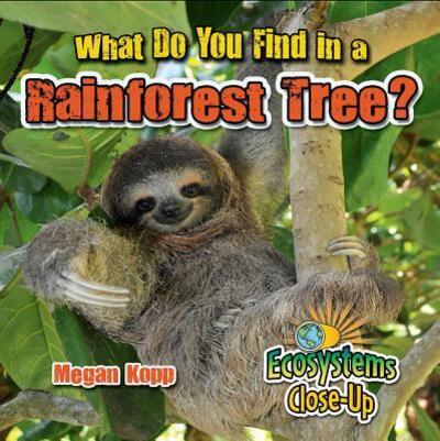 Cover for Megan Kopp · What Do You Find in a Rainforest Tree? (Hardcover Book) (2016)