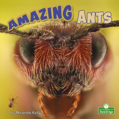 Cover for Miranda Kelly · Amazing Ants (Hardcover Book) (2022)
