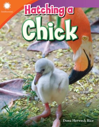 Cover for Dona Herweck Rice · Hatching a Chick (Pocketbok) (2019)