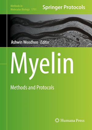 Cover for Myelin (Book) [1st ed. 2018 edition] (2018)