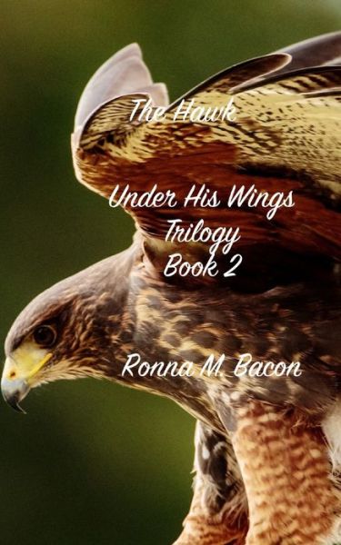 Cover for Ronna Bacon · The Hawk (Paperback Book) (2017)