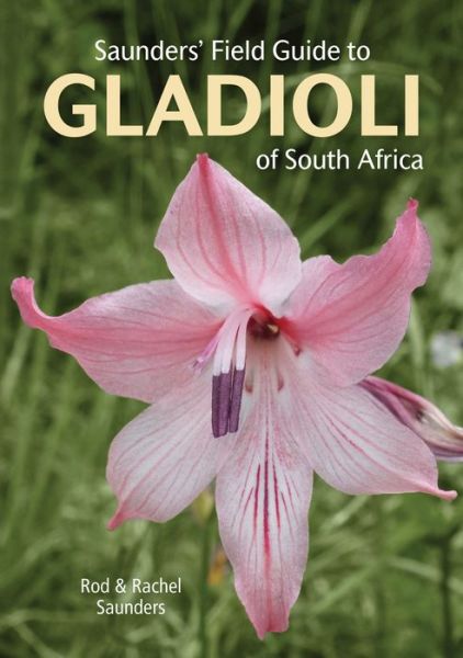 Cover for Rod Saunders · Saunders’ Field Guide to Gladioli of South Africa - Struik Nature Field Guides (Paperback Book) (2021)