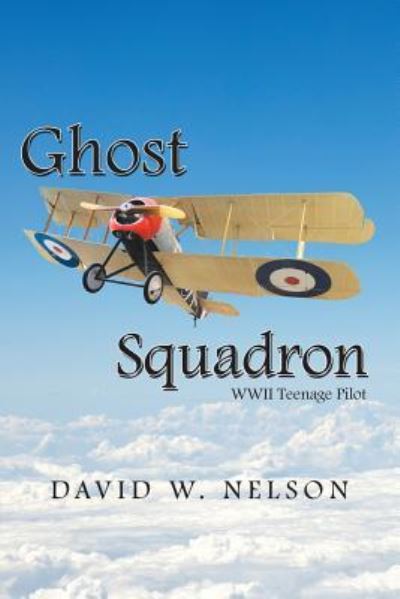 Cover for David W Nelson · Ghost Squadron (Paperback Book) (2019)
