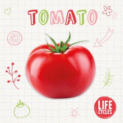 Cover for Kirsty Holmes · Tomato - Life Cycles (Paperback Book) (2021)