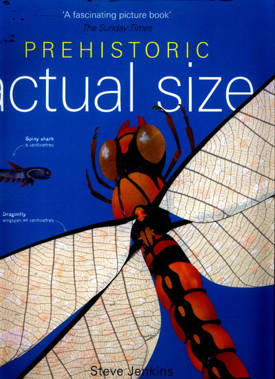 Cover for Steve Jenkins · Prehistoric Actual Size (Paperback Book) [Revised edition] (2016)