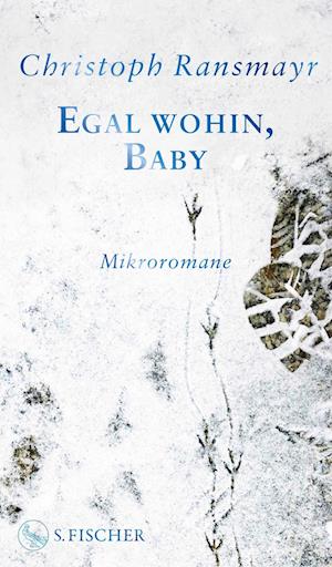 Cover for Christoph Ransmayr · Egal wohin, Baby (Book) (2024)