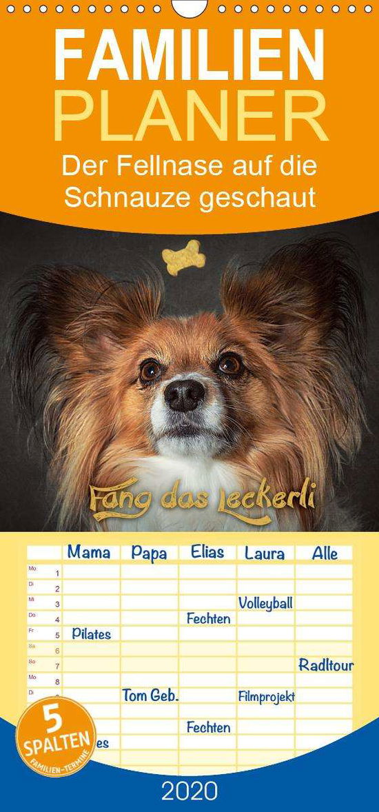 Cover for Schöberl · Fang das Leckerli! - Familienp (Book)