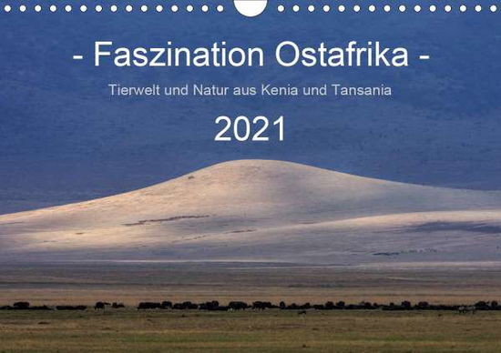 Faszination Ostafrika - Tierwe - Schänzer - Bücher -  - 9783671626618 - 