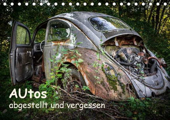 Cover for Rosin · Autos, abgestellt und vergessen ( (Book)