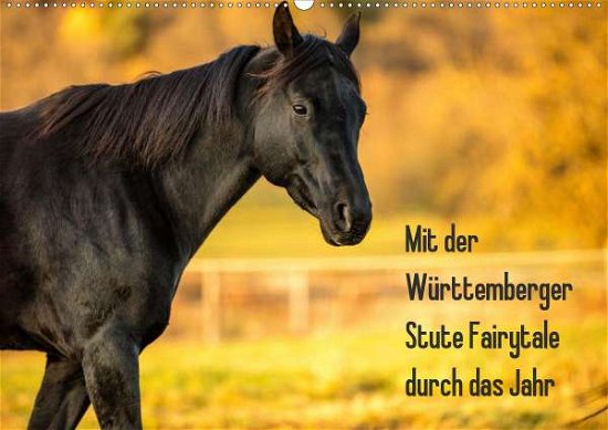 Cover for Pfeifer · Durch das Jahr mit Fairytale (W (Book)
