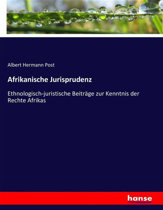 Cover for Post · Afrikanische Jurisprudenz (Book) (2016)