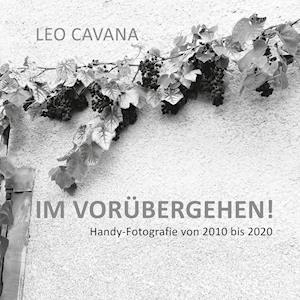 Cover for Leo Cavana · Im Vorübergehen (Paperback Book) (2021)