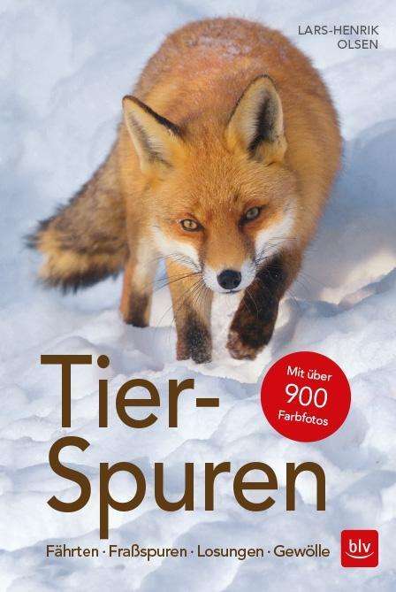 Cover for Olsen · Tier-Spuren (Book)