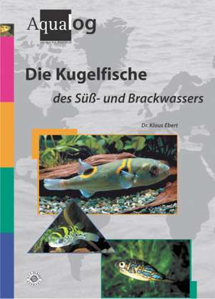 Cover for Klaus Ebert · Die Kugelfische des Süß- und Brackwassers (Gebundenes Buch) (2001)