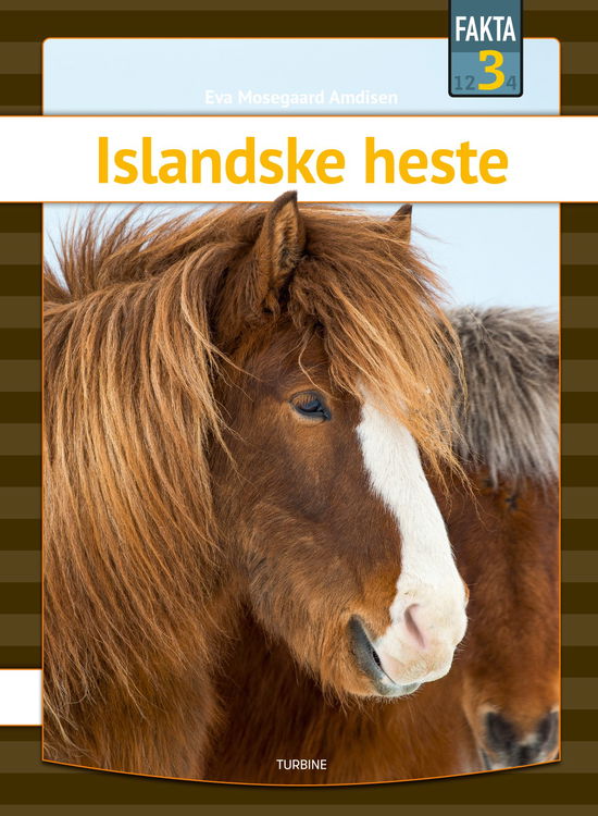 Cover for Eva Mosegaard Amdisen · Fakta 3: Islandske heste (Hardcover Book) [1th edição] (2020)