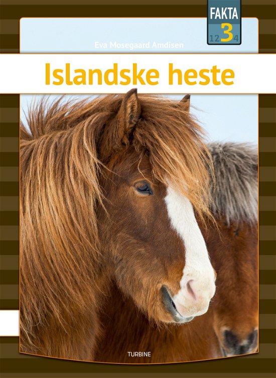 Cover for Eva Mosegaard Amdisen · Fakta 3: Islandske heste (Innbunden bok) [1. utgave] (2020)