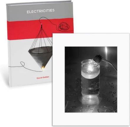 Cover for David Goldes · David Goldes: Electricities (Hardcover Book) [Limited edition] (2017)