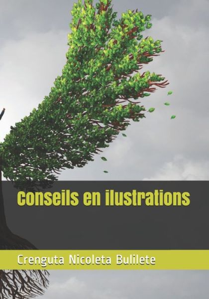 Cover for Crenguta Nicoleta Bulilete · Conseils en illustrations (Paperback Book) (2021)