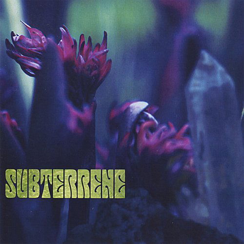 Subterrene - Luck of Eden Hall - Music - CD Baby - 0614346026619 - September 18, 2006