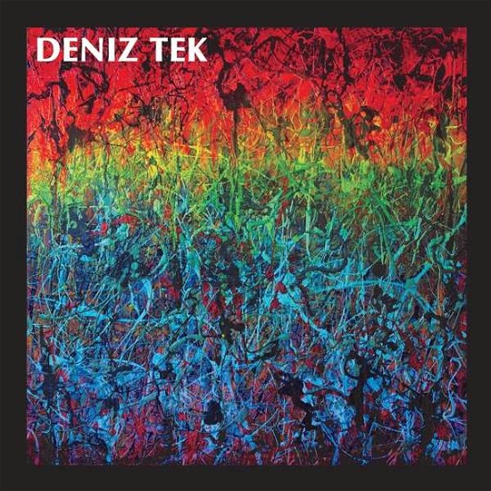 Cover for Deniz Tek · Mean Old Twister (LP) (2016)