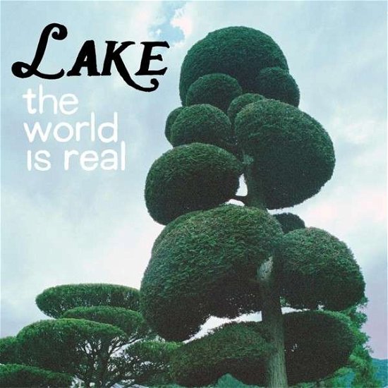 Cover for Lake · World Is Real (LP) (2013)