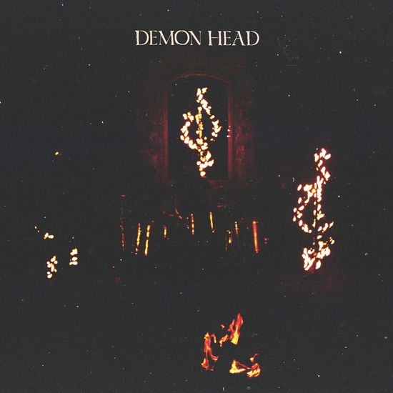 Cover for Demon Head · Through Holes Shine the Stars (LP) (2024)