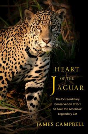 Heart of the Jaguar - The Extraordinary Conservation Effort to Save the Americas` Legendary Cat - James Campbell - Books - W W Norton & Co Inc - 9780393867619 - November 4, 2025