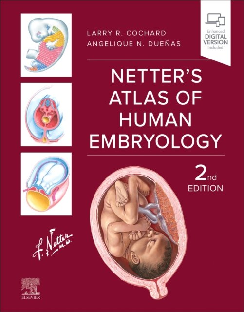 Cover for Cochard, Larry R. (The Feinberg School of Medicine, Northwestern University, Chicago, IL, USA) · Netter's Atlas of Human Embryology - Netter Basic Science (Paperback Bog) (2024)