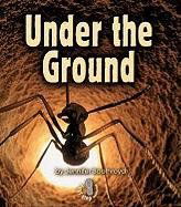 Cover for Jennifer Boothroyd · Under the Ground (First Step Nonfiction) (Paperback Book) (2006)