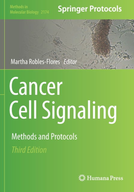 Cancer Cell Signaling: Methods and Protocols - Methods in Molecular Biology - - Livros - Springer-Verlag New York Inc. - 9781071607619 - 20 de agosto de 2021