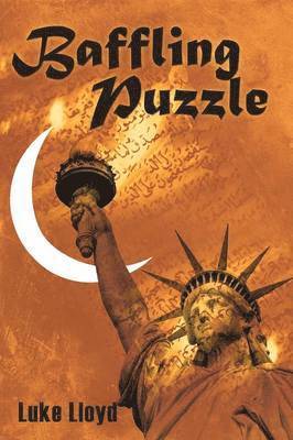 Cover for Luke Lloyd · Baffling Puzzle: Sidelining Truth (Paperback Book) (2012)