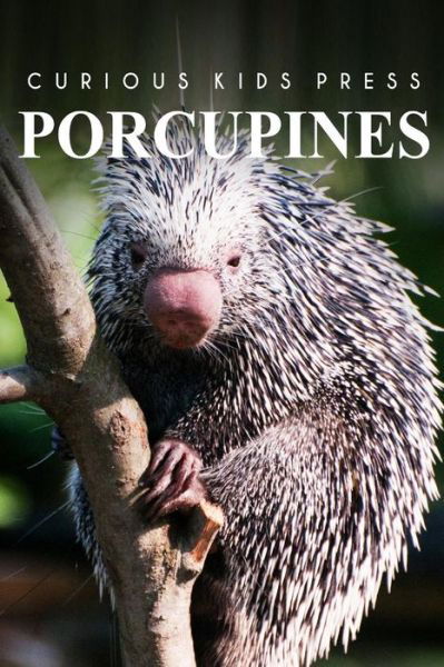 Cover for Curious Kids Press · Porcupines - Curious Kids Press: Curious Kids Press (Paperback Book) (2014)