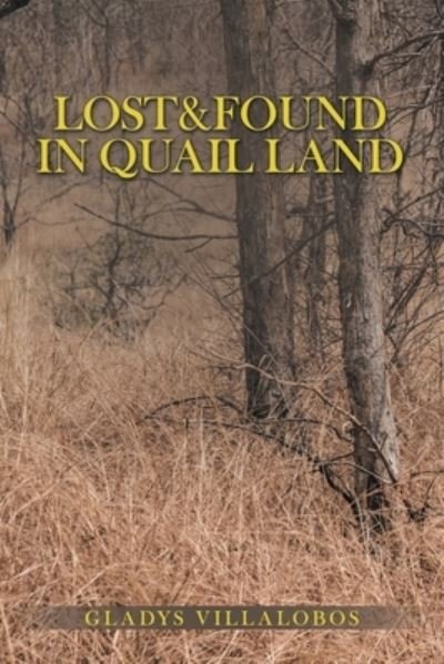 Gladys Villalobos · Lost&Found in Quail Land (Paperback Book) (2022)