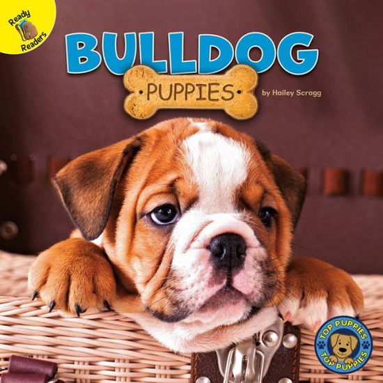 Cover for Hailey Scragg · Bulldog Puppies (Book) (2020)