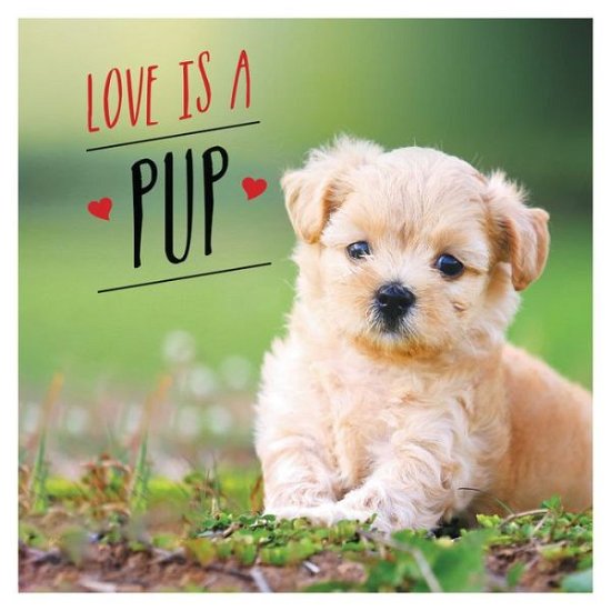 Cover for Charlie Ellis · Love is a Pup: A Dog-Tastic Celebration of the World's Cutest Puppies (Hardcover Book) (2020)