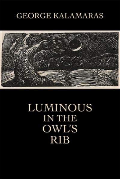 Cover for George Kalamaras · Luminous in the Owl's Rib (Taschenbuch) (2019)