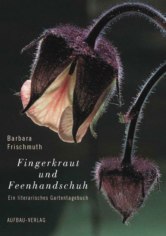 Cover for Barbara Frischmuth · Fingerkraut Und Feenhandh (Book)