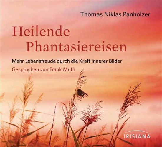 Cover for Thomas Niklas Panholzer · CD Heilende Phantasiereisen (CD)