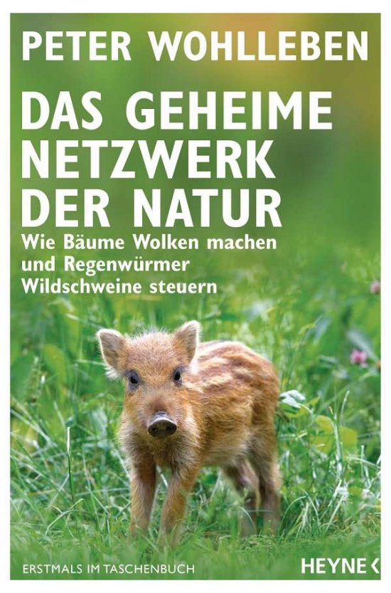 Cover for Peter Wohlleben · Das geheime Netzwerk der Natur (Paperback Book) (2020)