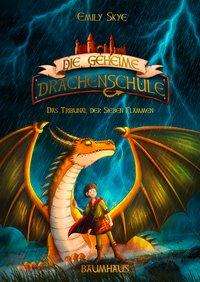 Cover for Skye · Die geheime Drachenschule - Das Tr (Buch)