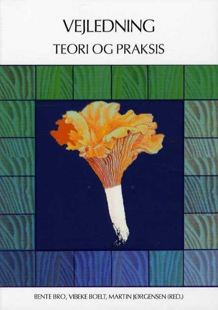 Cover for Vibeke Petersen m. fl. · Vejledning - teori og praksis (Paperback Book) [1th edição] (2014)