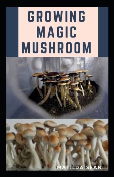 Cover for Matilda Sean · Growing Magic Mushroom (Paperback Book) (2020)