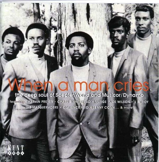 Various Artists · When a Man Cries (CD) (1999)