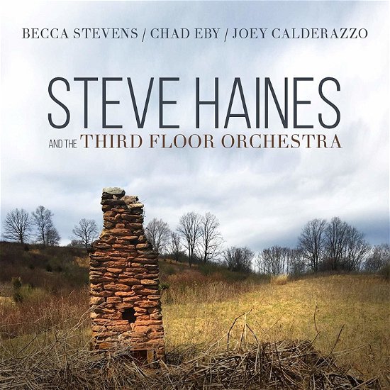 Steve Haines And The Third Floor Orchestra - Steve And The Third Floor Orchestra Haines - Musik - JUSTIN TIME - 0068944861620 - 3. maj 2019