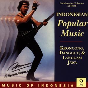 Cover for Various Artists · Music Of Indonesia Vol.2 (CD) (2009)