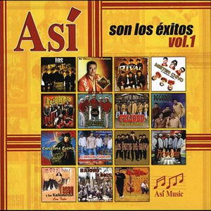 Asi Son Los Exitos 1 - Asi Son Los Exitos - Musik - GT - 0181483001620 -