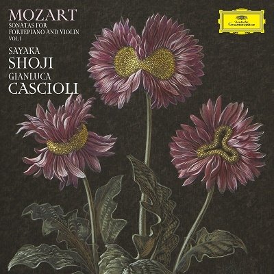 Cover for Shoji Sayaka / Gianluca Casc · Sayaka Shoji / Gianluca Cascioli – Mozart: Sonatas For Fortepiano And Violin Vol. 1 (SACD/CD) [Japan Import edition] (2022)