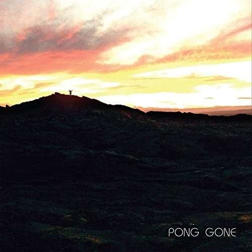 Cover for Pong · Gone (LP) (2014)