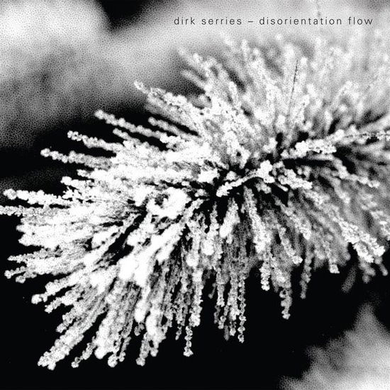 Cover for Dirk Serries · Disorientation Flow (CD) (2015)